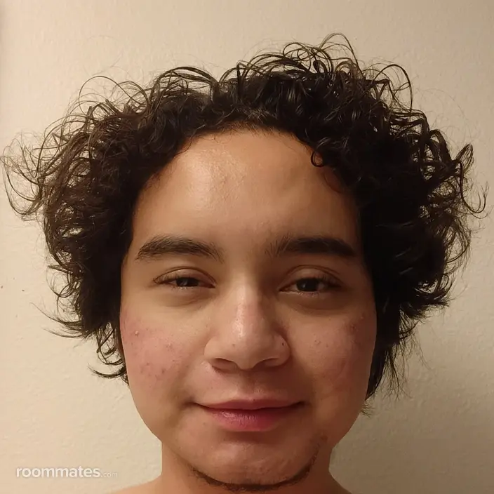 Roommate looking Brooklyn, NY, $1000
