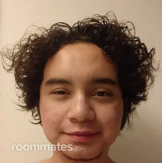 Roommate looking Brooklyn, NY, $1000