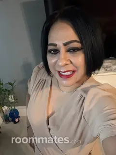 Roommate looking Cibolo, TX, $600