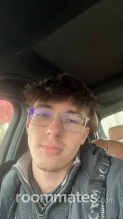 Roommate looking Dedham, MA, $1000