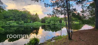 Room for rent in Dunnellon, FL $1200, house