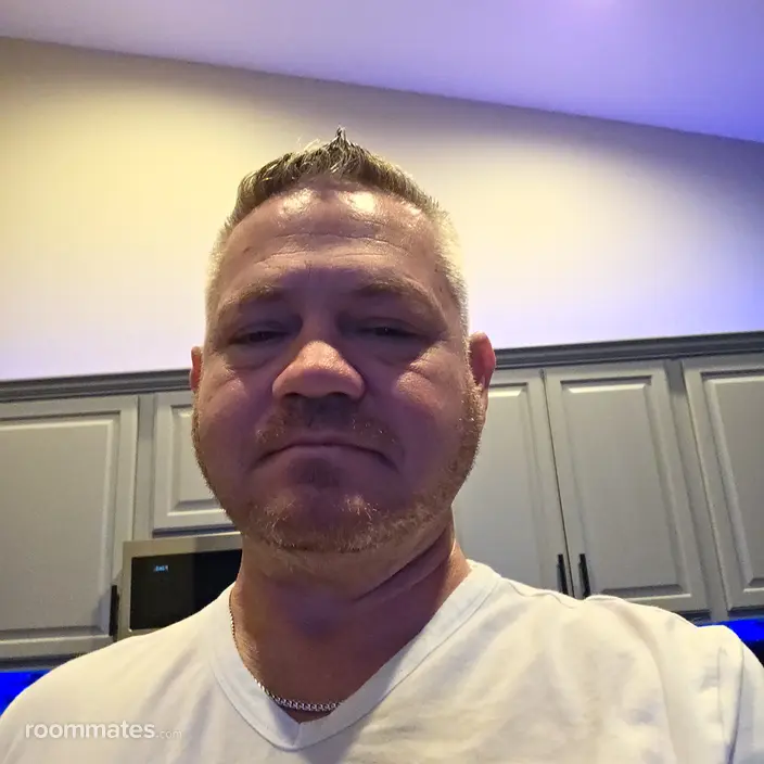 Roommate looking Oldsmar, FL, $1000