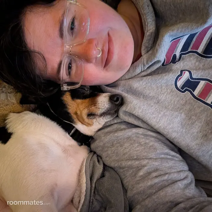 Roommate looking Willimantic, CT, $1200