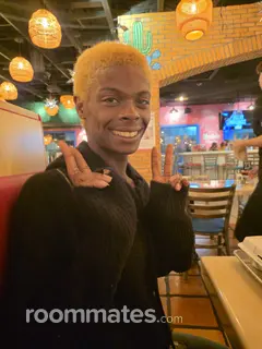 Roommate looking Snellville, GA, $600