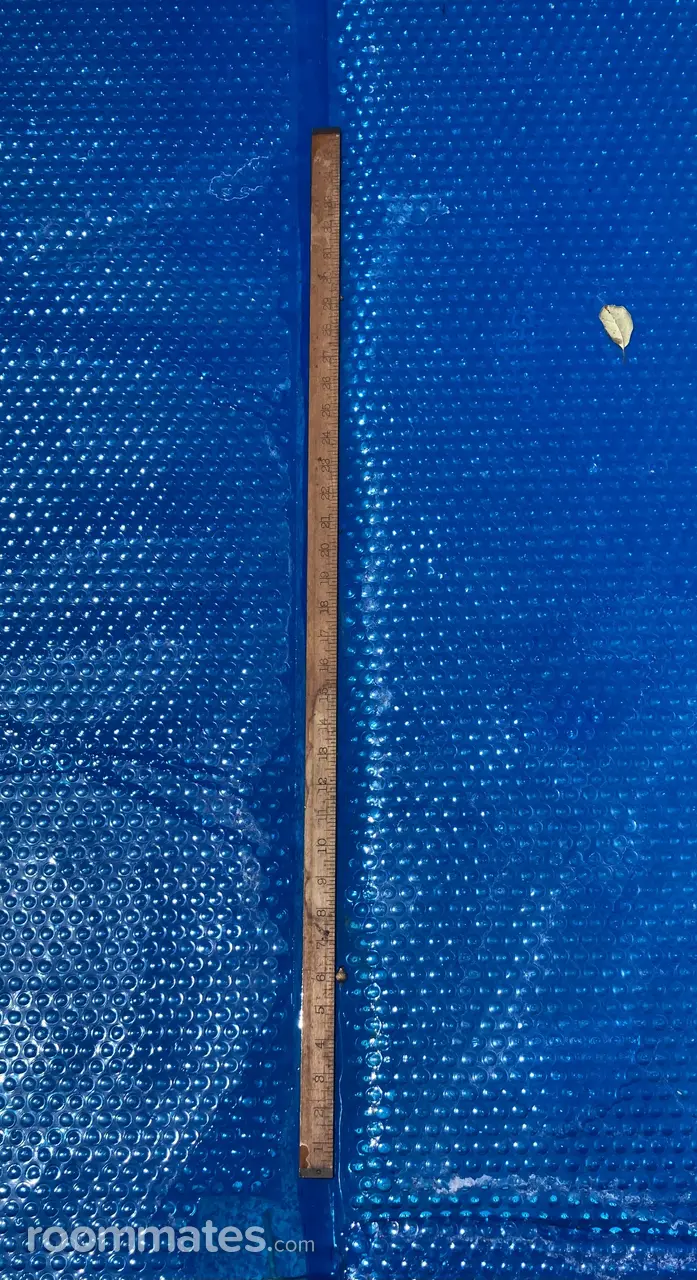 Profile photo 5 of 16