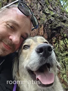 Roommate looking Portland, OR, $1500