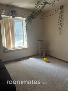 Room for rent in Shelby Township, MI $600, apartment