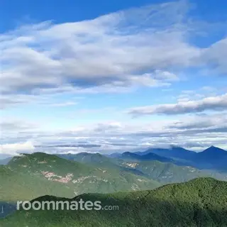 Roommate looking Fairfax, VA, $1200