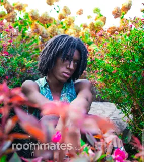 Roommate looking Decatur, GA, $1100