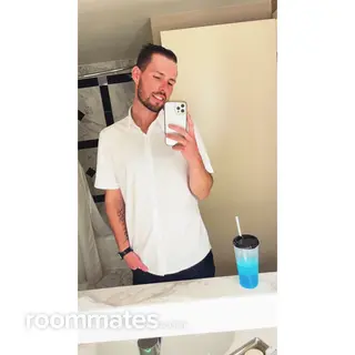 Roommate looking Sterling Heights, MI, $900
