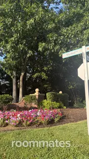 Roommate looking Henrico, VA, $800