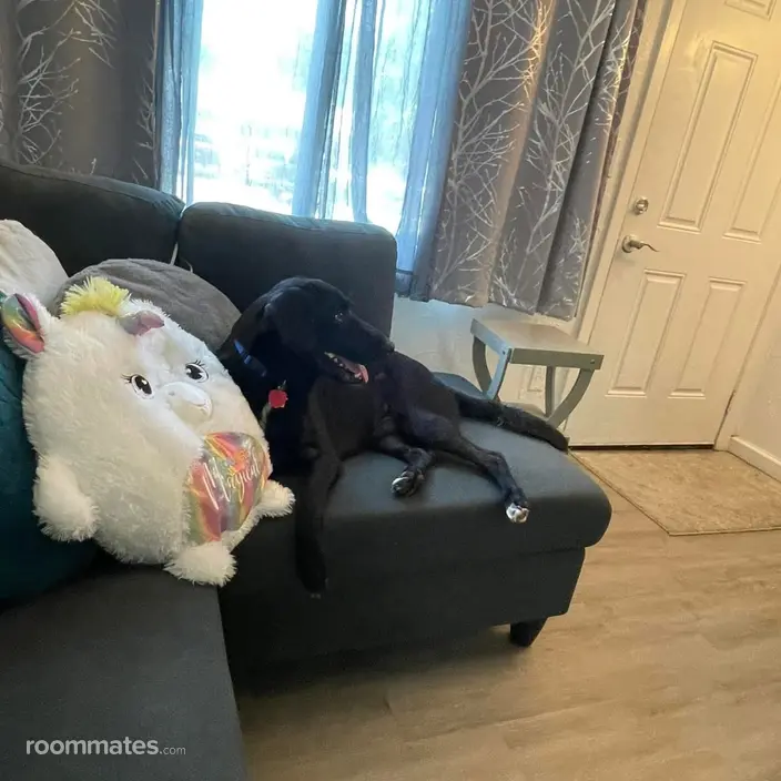 Room for rent in Oklahoma City, OK $650, house