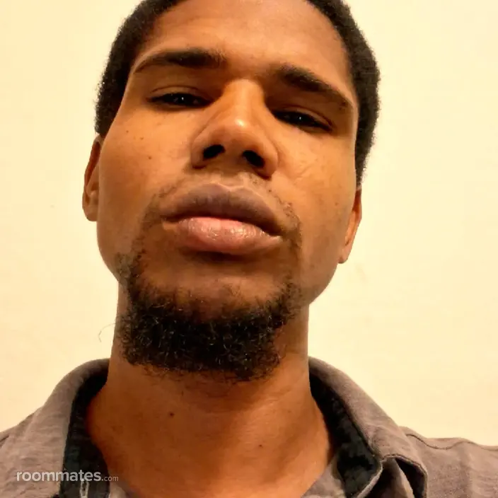 Roommate looking Phoenix, AZ, $800