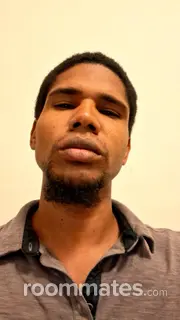 Roommate looking Phoenix, AZ, $800