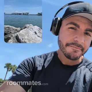 Roommate looking Saint Petersburg, FL, $1200