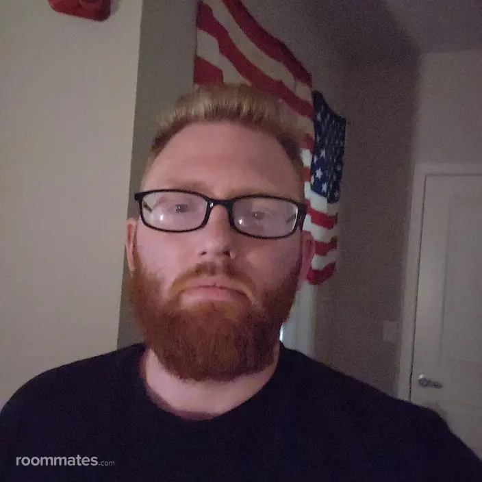 Roommate looking Kent, OH, $800
