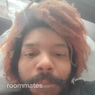 Roommate looking Houston, TX, $700