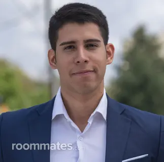 Roommate looking Pittsburgh, PA, $600