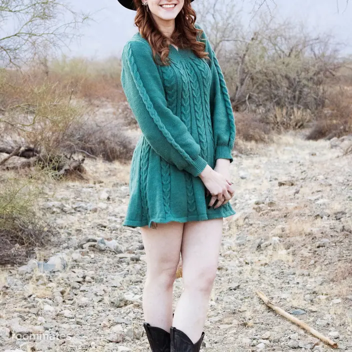 Roommate looking Mesa, AZ, $800
