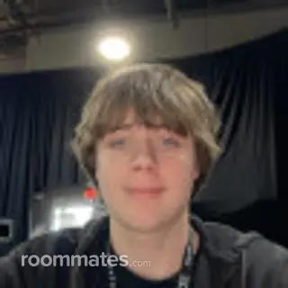 Roommate looking Los Angeles, CA, $1000