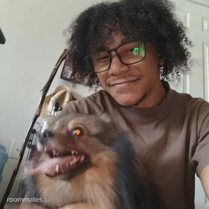 Roommate looking Pensacola, FL, $700