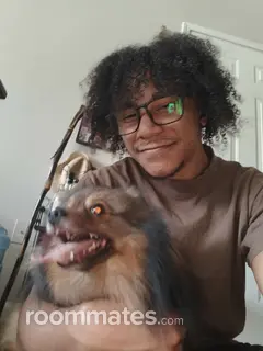 Roommate looking Pensacola, FL, $700