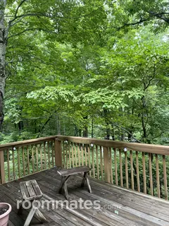 Room for rent in Black Mountain, NC $850, house