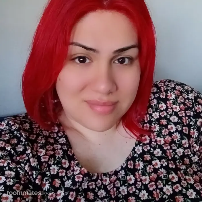 Roommate looking Manhattan, NY, $800