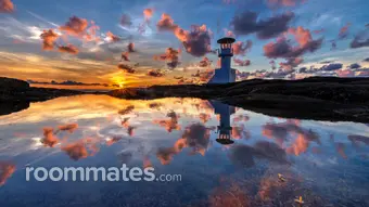 Roommate looking Fort Myers, FL, $1000