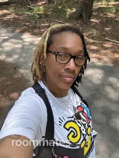 Roommate looking Virginia Beach VA, $1000