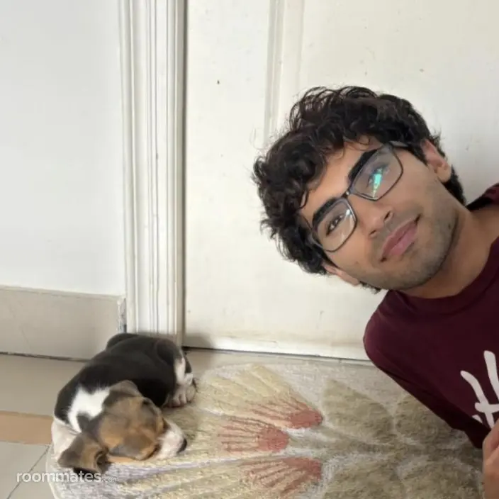 Roommate looking Ballwin, MO, $800