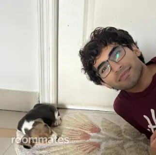 Roommate looking Ballwin, MO, $800