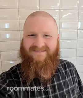 Roommate looking Chicago, IL, $900