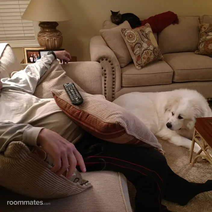 Roommate looking Garner, NC, $1000