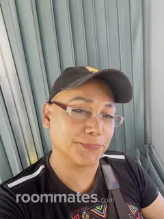 Roommate looking Glen Ellyn, IL, $1000