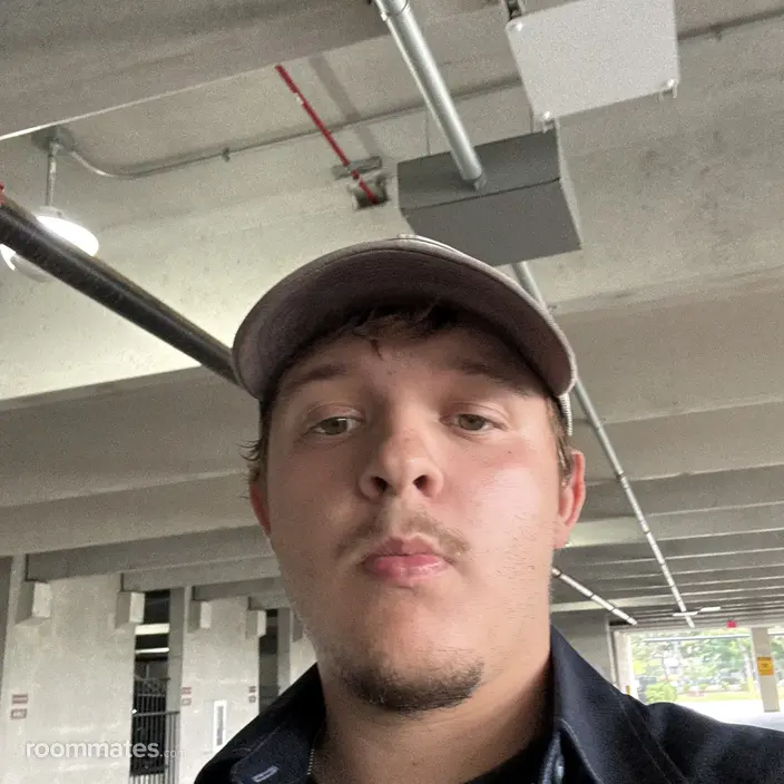 Roommate looking Roselle, IL, $1100
