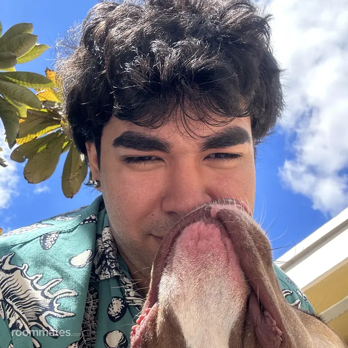 Roommate looking Miami, FL, $700