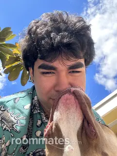 Roommate looking Miami, FL, $700