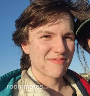 Roommate looking Portland, OR, $1200