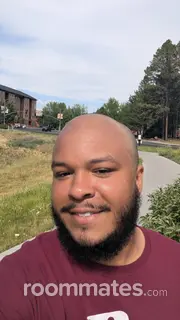 Roommate looking Flagstaff, AZ, $800