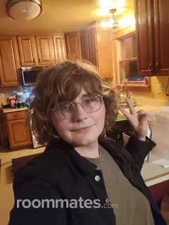 Roommate looking Grand Rapids, MI, $800