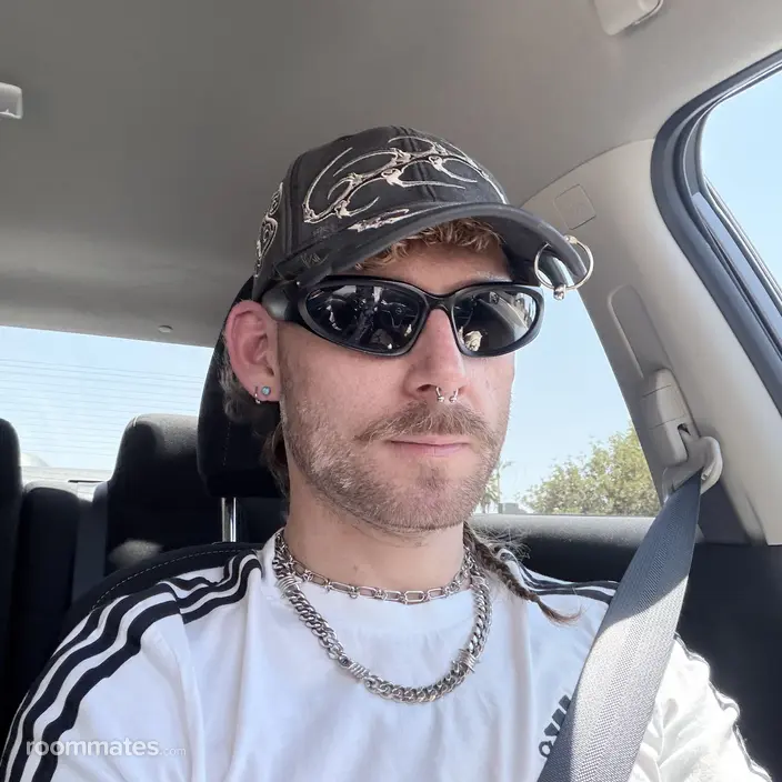 Roommate looking Phoenix, AZ, $900
