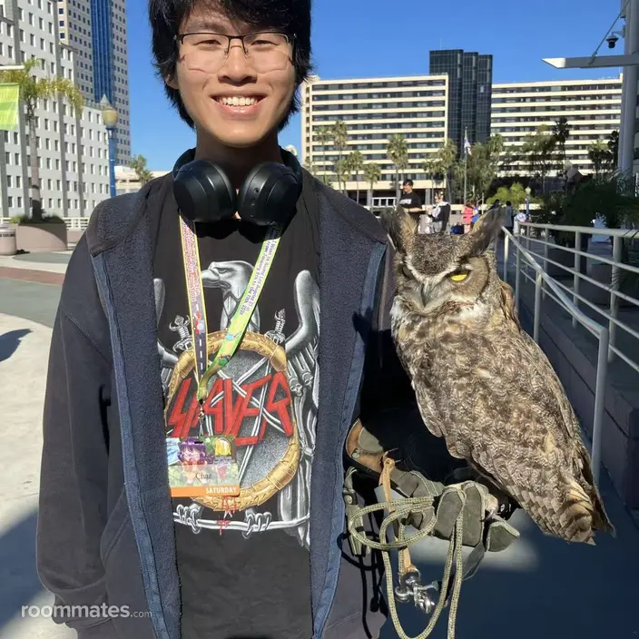 Roommate looking Pleasant Hill, CA, $1400