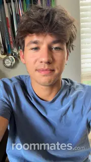 Roommate looking Clearwater, FL, $1500