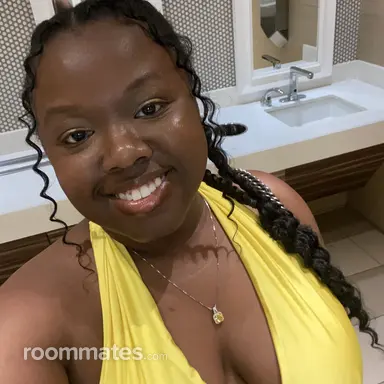 Roommate looking Detroit, MI, $900