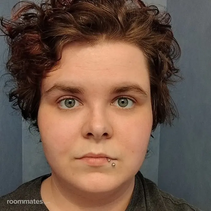 Roommate looking Yorkville, IL, $600