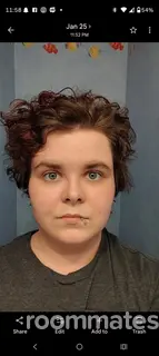 Roommate looking Yorkville, IL, $600
