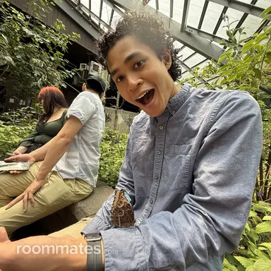 Thumbnail 11