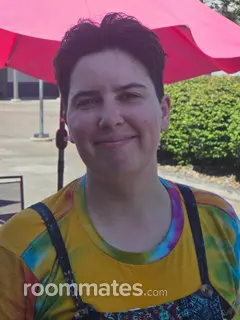 Roommate looking Portland, OR, $800