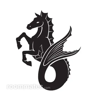 Roommate looking Bellingham, WA, $800
